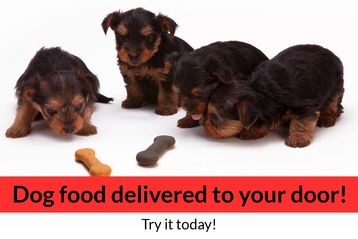 Order dog food online